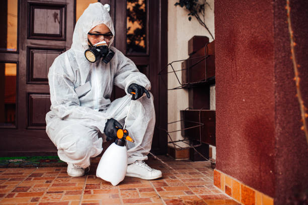 Reliable Wasp Removal contractor in Bay Shore, NY by Show Me Pest Control